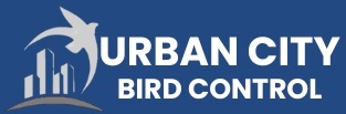 URBAN CITY (1)